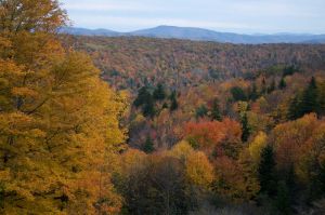 Fall Colors of the Alleghany Mountains of Virginia